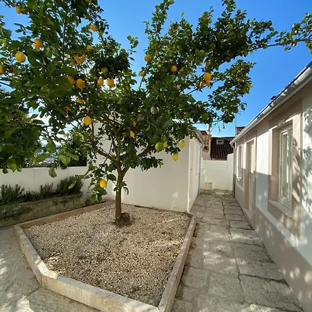 Se Velha Studios Coimbra Exterior photo
